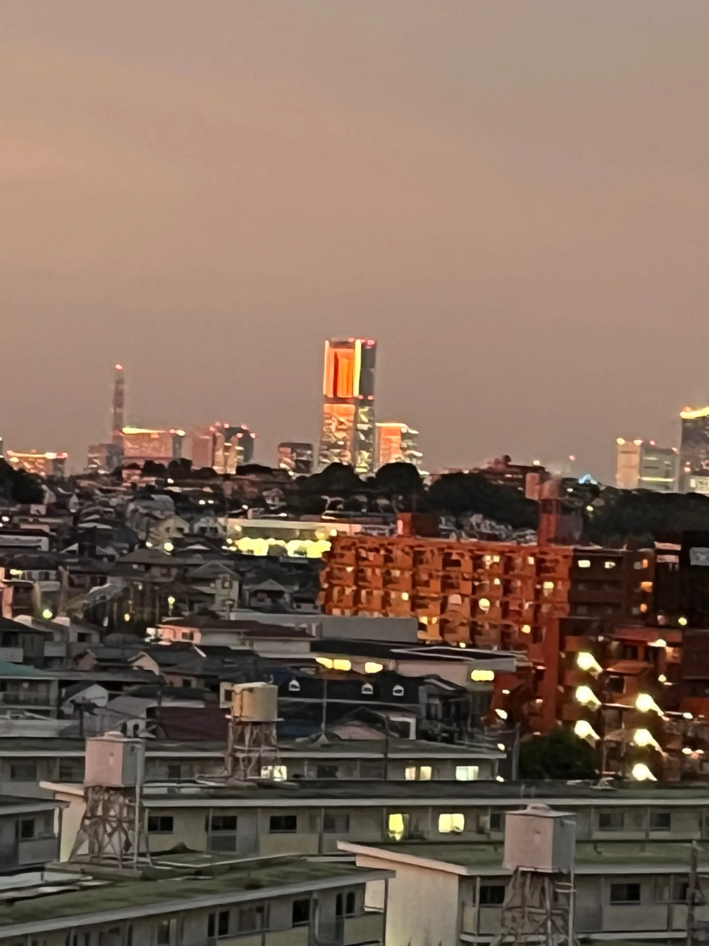 とかくこの世は住みにくい【横浜市 Senagy  Therapy セナジーセラピー】