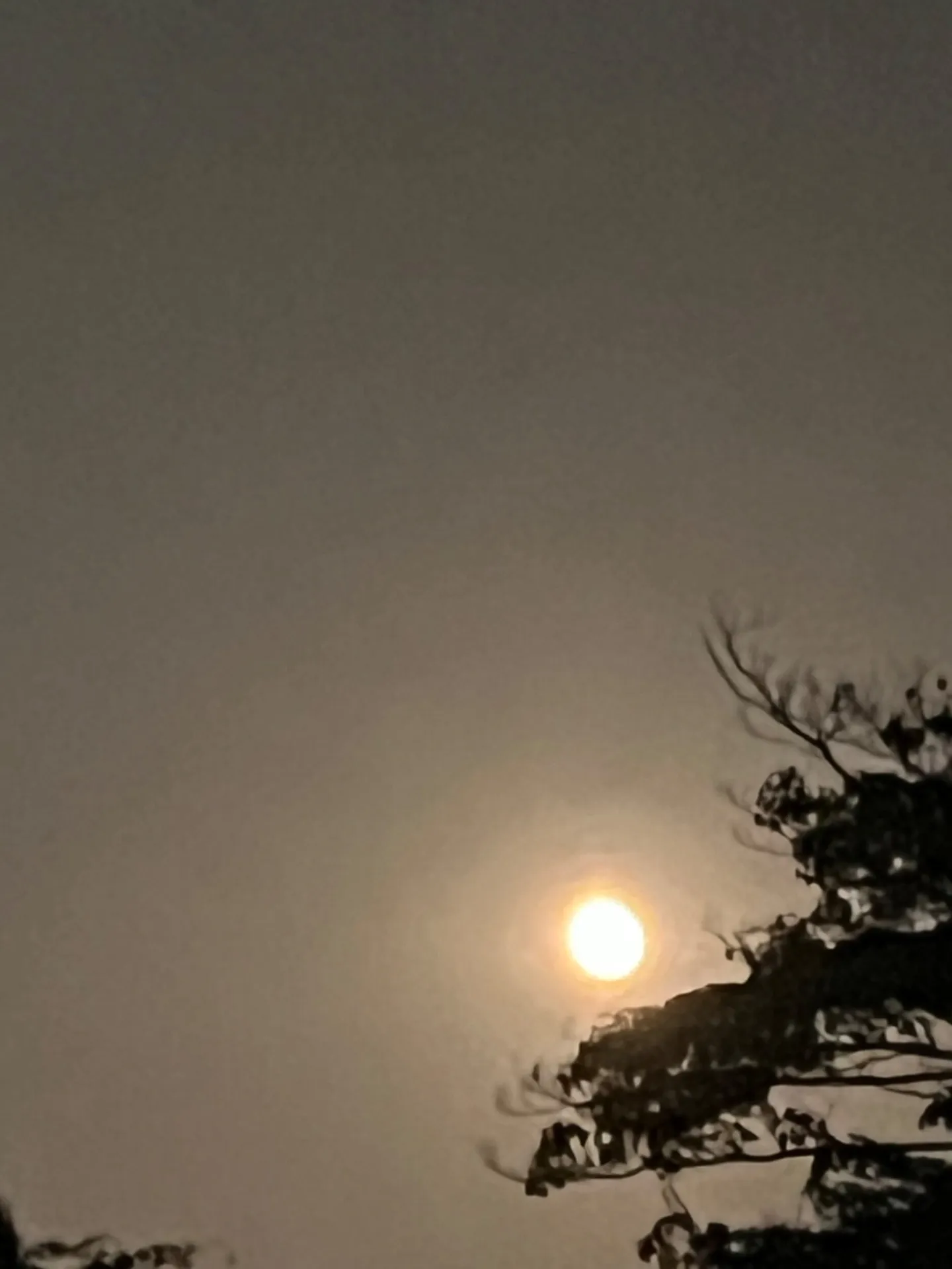 自分の心の中の葛藤【横浜市 Senagy Therapy セナジーセラピー】